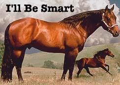 ILL BE SMART