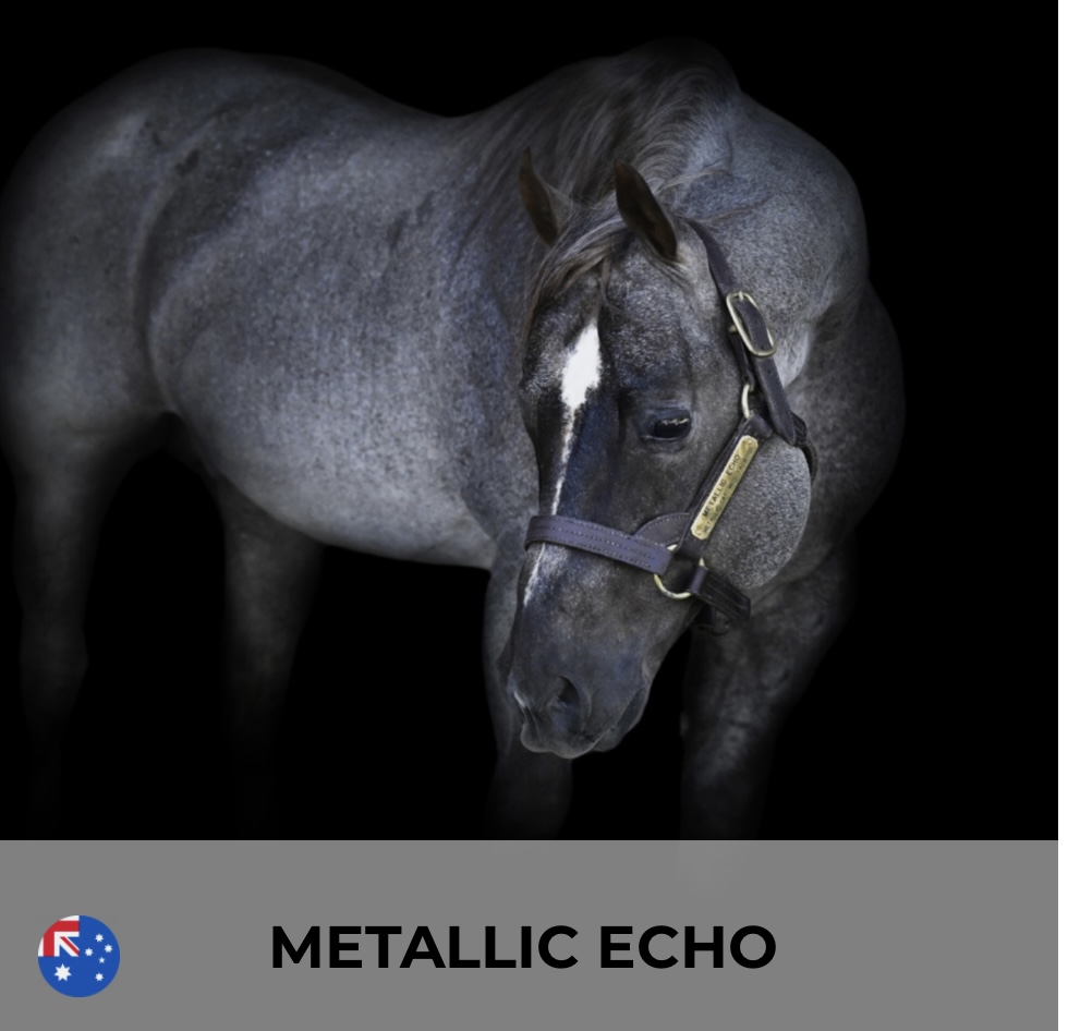 METALLIC ECHO